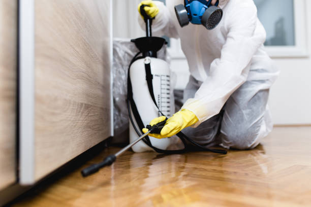 Wasp Removal Services in Janesville, WI