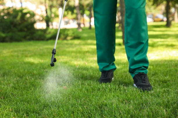 Best Cockroach Control Services  in Janesville, WI