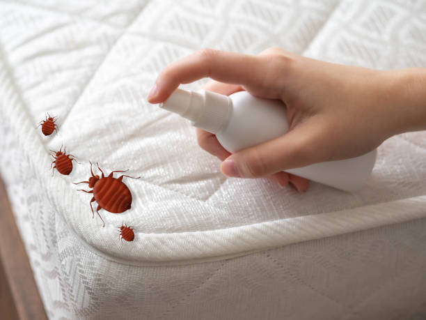 Best Residential Pest Control  in Janesville, WI