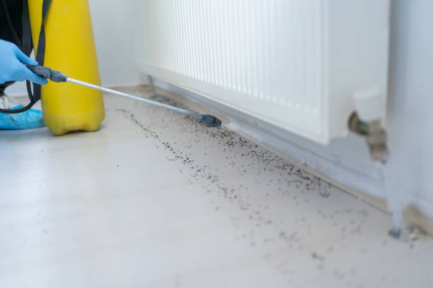 Best Exterminator Services  in Janesville, WI