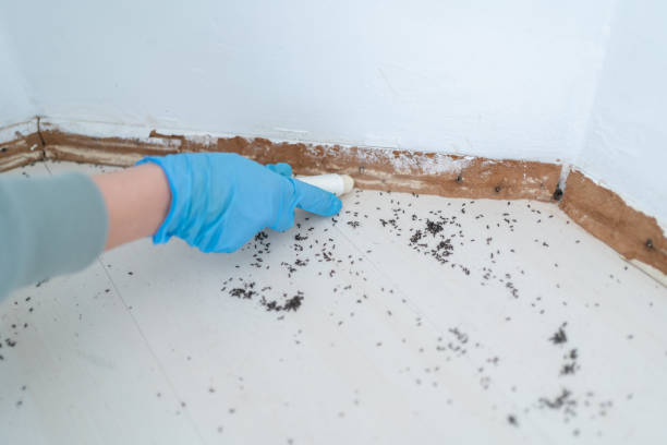 Best Bed Bug Extermination  in Janesville, WI