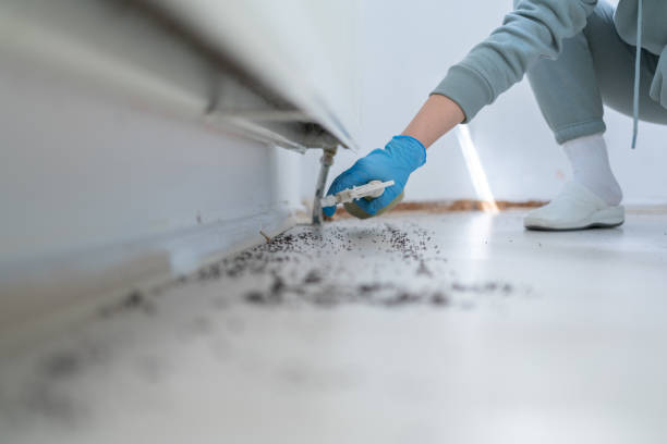 Best Best Pest Control Companies  in Janesville, WI